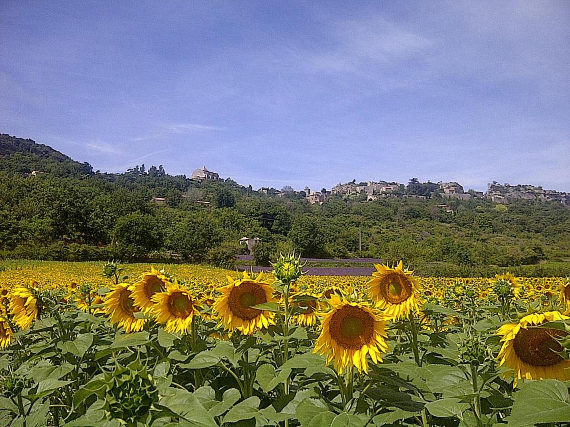 Villa Bellegarde Saignon Zewnętrze zdjęcie